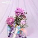 슈마커 - 493 | 슈마커