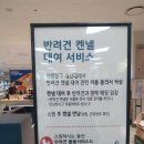 롯데마트 맥스 창원 중앙점 장보기 꼭 사야할 것 추천