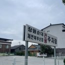 장원순대 - 대덕구 석봉로37번길 60-6 | 제천 현지인 맛집 장원순대국 방문 후기