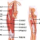 베스트짐 이미지