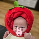 홈플러스 화성향남점 | 홈플러스 화성향남점 멋쟁이토마토 문화센터 수업 후기 _ 157일 첫 문센 망함 흑흑