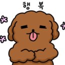 앤도스 네이버블로그
