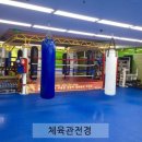 용인대 GX 복싱체육관 이미지