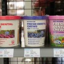 야옹 멍멍 이미지