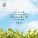 무조건 감사~ 묻지도 따지지도 말고 습관적으로 감사~ 수시로 감사~ _서재우 사모 이미지