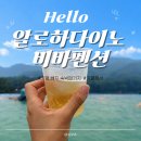 알로하펜션 | [가평 빠지] 알로하다이노 &amp; 비바펜션 ㅣ무제한바베큐 숙박패키지 숙소후기 4명