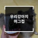 오랑마켓 | 굿즈제작해서 회사에서도 내새끼 얼굴 보며 힘을 내서 열일을 해야지~ 소오랑마켓의 포토머그컵 제작 후기~