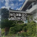 작약꽃 펜션 | 제주 애월펜션 해리앤소담 후기 | 마당뷰에 바다까지 가까운 숙소 찾았어요