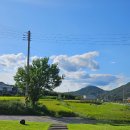 애견동화 | 담양 동화같은 감성 카페 "시노유" 방문 후기 (애견 동반 가능)