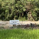 풀하우스카페 이미지