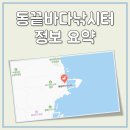 땅끝낚시터 | 동끝바다낚시터 위치, 고기 종류(어종), 장점 정리