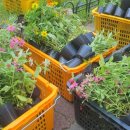 미수주공아파트 이미지