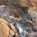 해피팬션 | 오랜 친구 셋, 그리고 첫 여행 출산과 육아를 지나 다시 웃게 된 곳, 경주해피데이펜션 후기