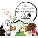 (주)티피엘 | 인천 애견모임 왈왈에서 2주년 기념 운동회 개최(feat.아임버디)