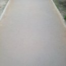 자라섬 주차장 이미지