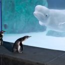 바다친구들 이미지