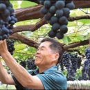 희성농장 이미지