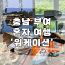 부여군청 | 충남여행 혼자 부여 워케이션 떠난 후기