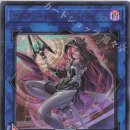 리오써플라이 이미지