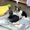 뚜랑이네 놀이방 이미지