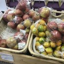 진주텃밭 초전점 이미지