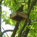 용연농장 이미지