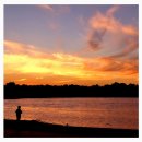 Dream to t 이미지