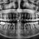 서울송치과의원 이미지