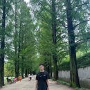 스톤스카이 | 스톤아일랜드 23SS 나일론메탈 반바지 후기 / 스카이블루 실착 및 사이즈 리뷰 (183/80)
