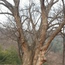 야촌주유소 | 쌍계사(논산)