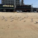 을왕롱비치하우스 이미지