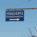 효성동 하나아파트 앞 이미지