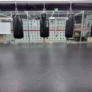 유타복싱클럽 이미지