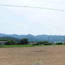 금척상리 이미지