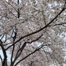 낙동강변로4-4 이미지