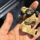 훈이세차장 이미지