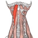 누가재활의학과의원 이미지