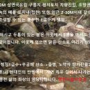 삼면국유림 차량진입 홍천 오지토지 이미지