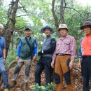 금남호남정맥-천황지맥의 남원의 주산 백공산 이미지