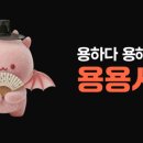 880002 | 용용사주 후기