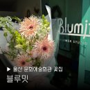 울산문화예술회관 전시장 1층 | 울산 문화예술회관 꽃집 블루밋 근처 꽃다발 꽃바구니 화분 예약 어버이날