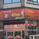 금호대목련차이나 이미지