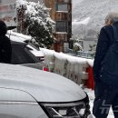 김민희 카카오 검색결과