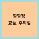 팔팔병원 이미지