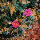 배틀짱PC방 이미지