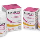 베트컴코리아 이미지