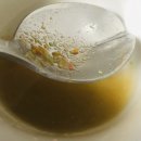 해오름 동물병원 이미지