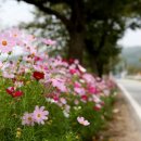 북면바로내작은도서관 이미지