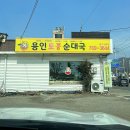 울동네맛집 최애 순대국/쭈꾸미비빔밥/감자탕: 용인토종순대국 광주탄벌점