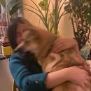 석사마트 이미지